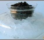 Crystal Chillers from Caviar Star