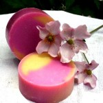 Handcrafted Soaps from Indulge-Scents