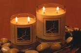 Wholesale Soy Candles - White Branch Candles