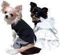 Dog Wedding Wear