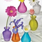 Colorful Vases