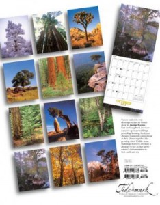 Ancient Forest Calendar