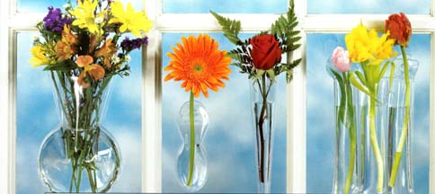window vases