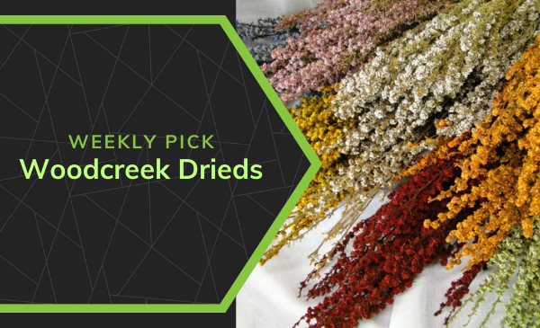 FGmarket's Weekly Pick: Woodcreek Drieds