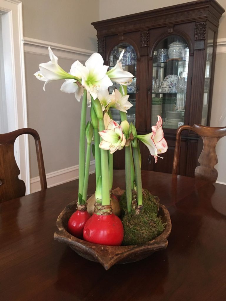 Beautiful, LowMaintenance Flowers From Let’em Bloom