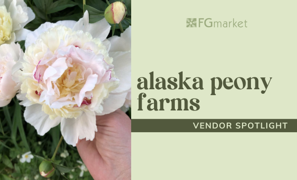 Showstopping Peonies from Alaska Peony Farms