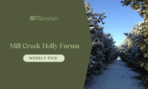 FGmarket’s Weekly Pick: Mill Creek Holly Farms