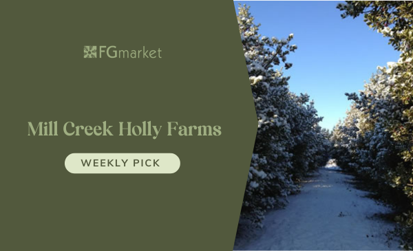 FGmarket's Weekly Pick: Mill Creek Holly Farms
