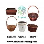Tropitek Trading, Surrey, British Columbia
