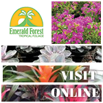 Emerald Forest Tropical's, Homestead, Florida