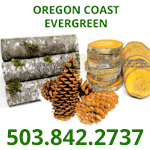 Oregon Coast Evergreen, Tillamook, Oregon