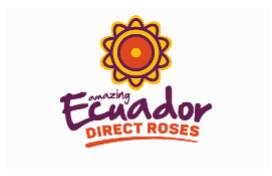 Ecuador Direct Roses