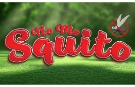 Visit No Mo Squito Online!